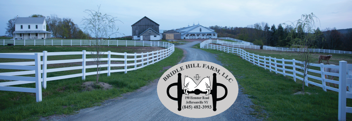 Bridle Hill Farm