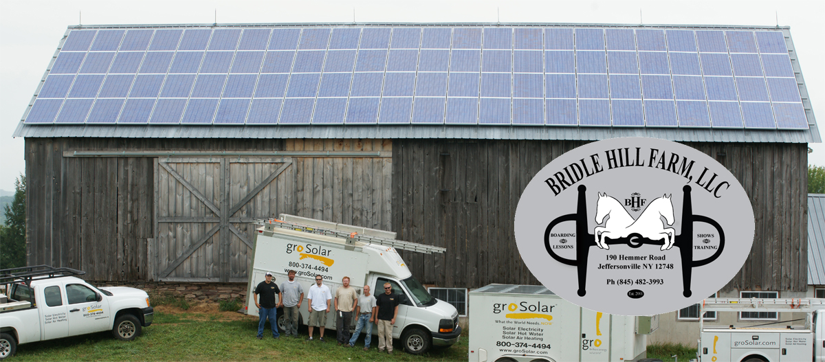 Solar Power at Bridle Hill Farm